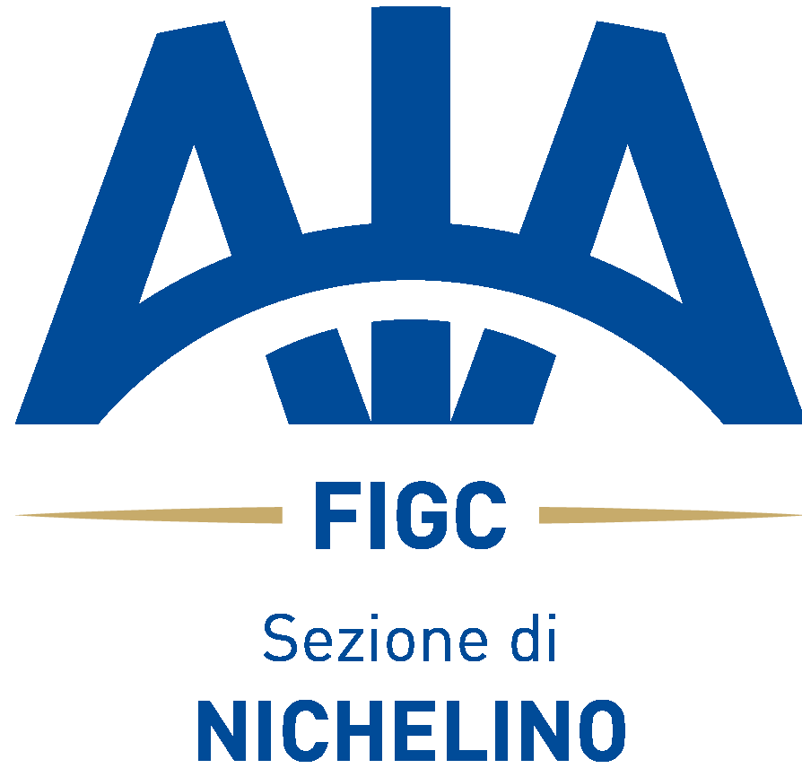 Sezione AIA Nichelino – "Antonio Pairetto"